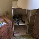 Three Wooden Advertising Crates - thumbnail 4 of 9