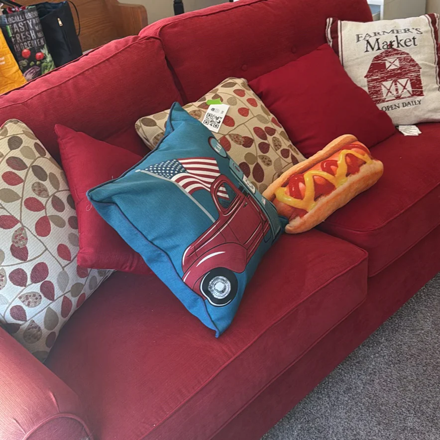 Assorted Decorative Throw Pillows - image 1 of 5