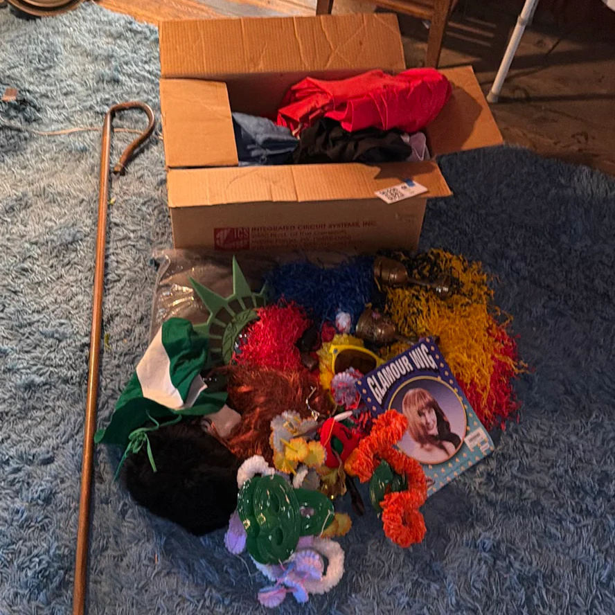 Costume Accessories and Clothing Lot - image 1 of 9