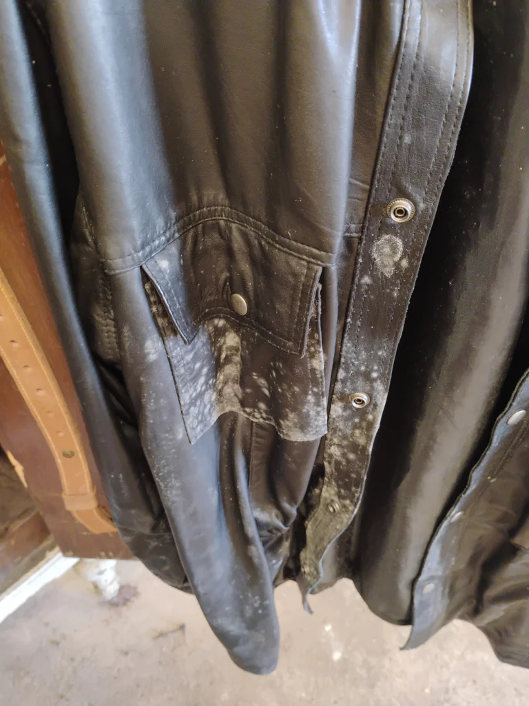 Black Leather Motorcycle Jacket and More - image 4 of 11