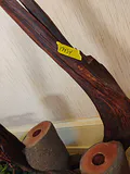 Wooden Magazine , and More - thumbnail 11 of 13