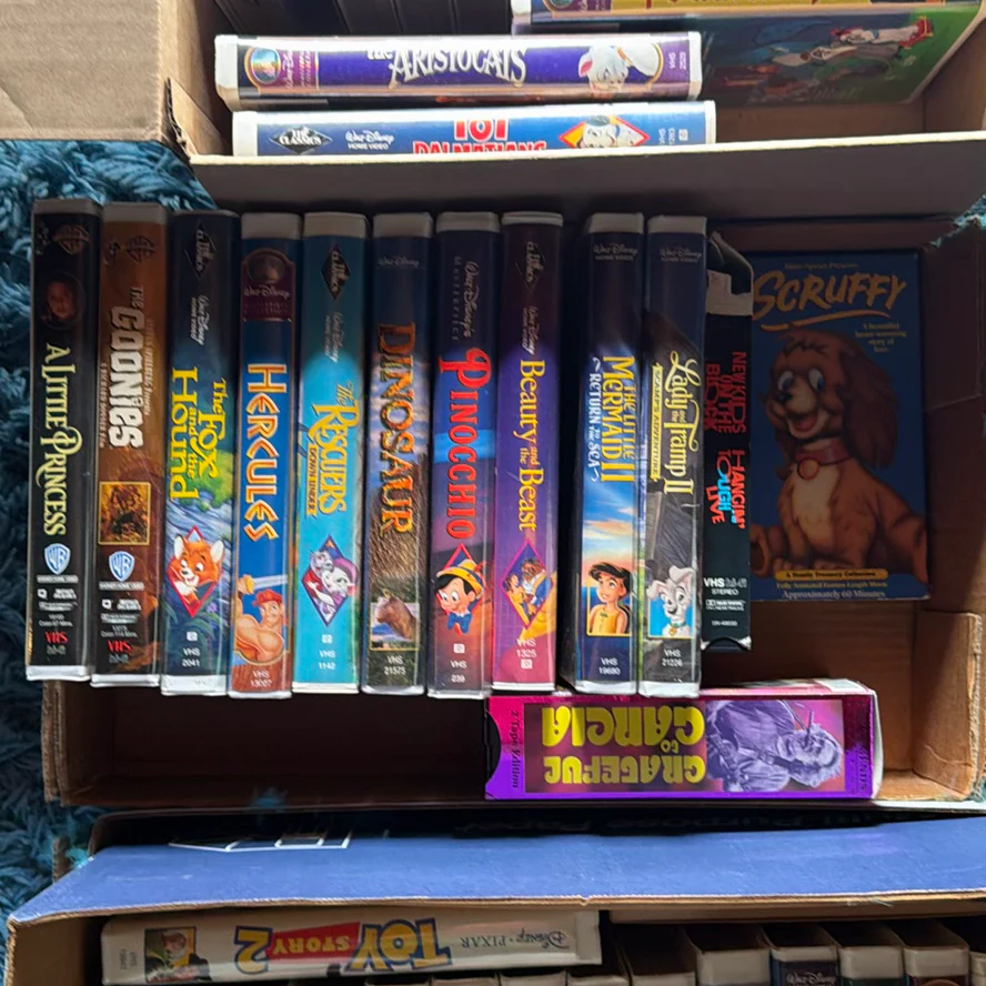 Collection of Animated VHS Tapes - image 3 of 4