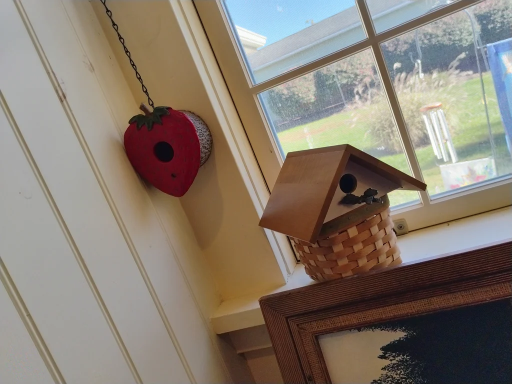 Framed Landscape Wall Art Prints, Bird Feeders - image 7 of 12
