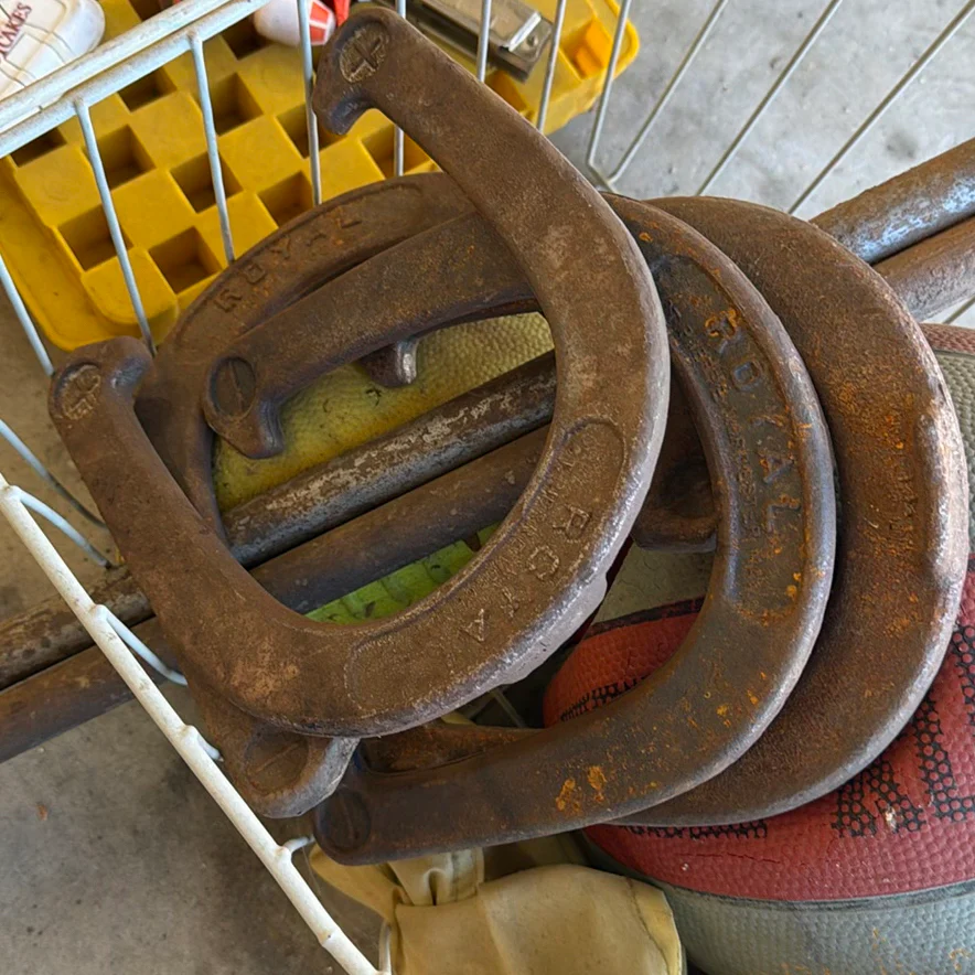 Assorted Toys, Horseshoes, Basketball, and Metal Basket - image 5 of 5