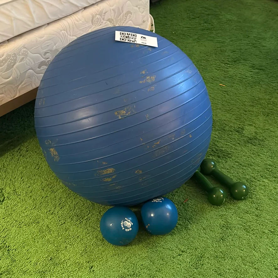 Exercise Ball with Hand Weights - image 1 of 7