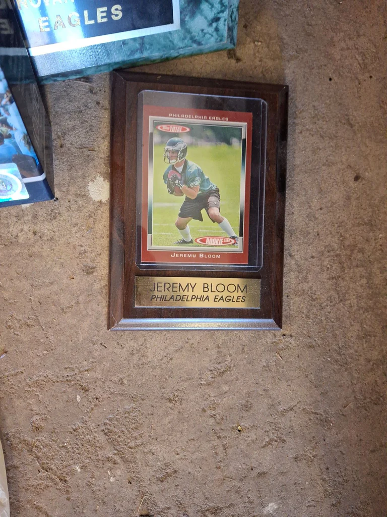 Philadelphia Eagles and Penn State Sports Memorabilia  - image 10 of 12