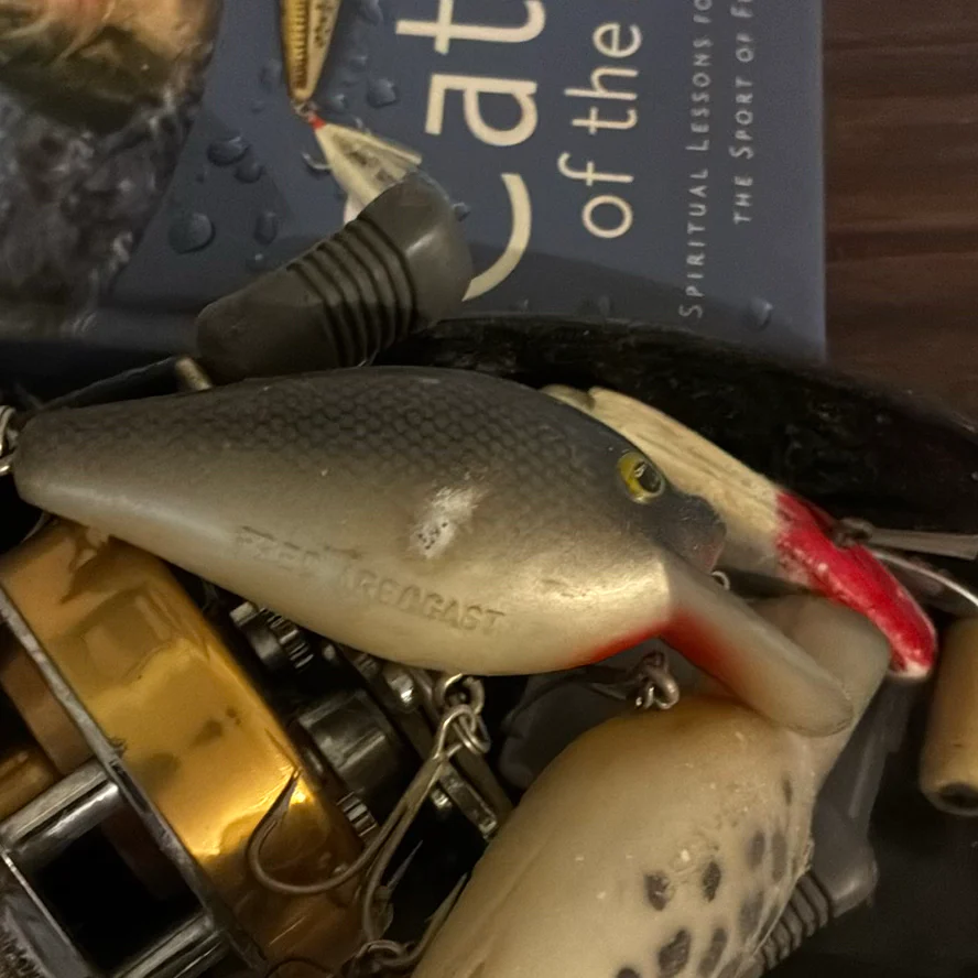 Fishing Electronics, Lures, Reel, and Fishing Book - image 7 of 10