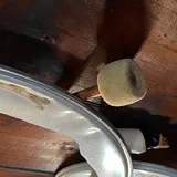 Drum Heads, Hoops, and Drumsticks - thumbnail 2 of 9