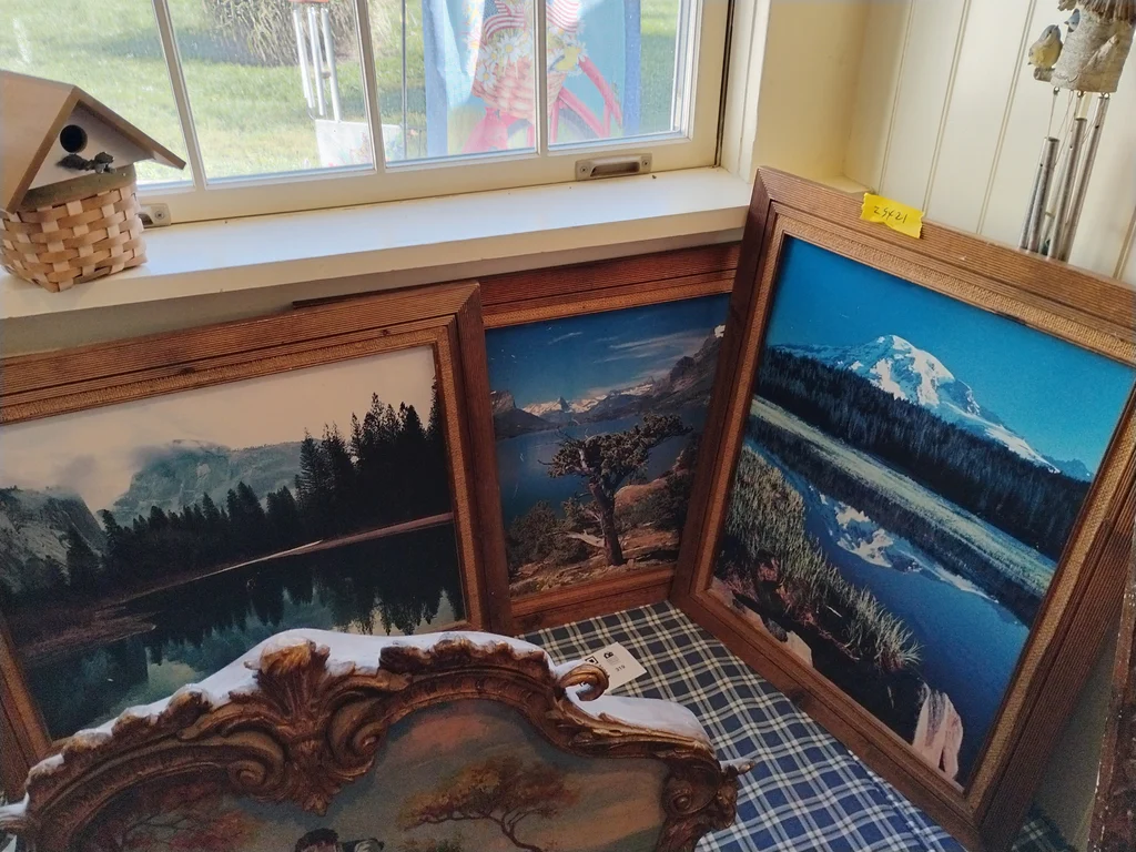 Framed Landscape Wall Art Prints, Bird Feeders - image 1 of 12