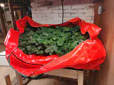 Artificial Christmas Tree Sections and Storage Bag - thumbnail 1 of 5