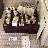 Beatrix Potter Figurines and Book Collection - thumbnail 1 of 12