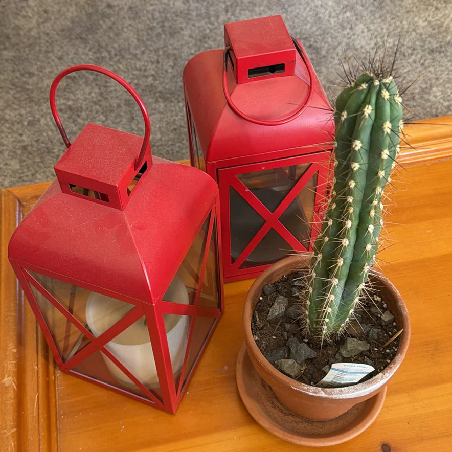 Lanterns, and Potted Cactus - image 1 of 3