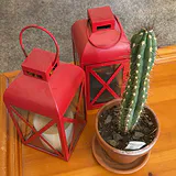Lanterns, and Potted Cactus - thumbnail 1 of 3