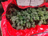 Artificial Christmas Tree Sections and Storage Bag - thumbnail 2 of 5