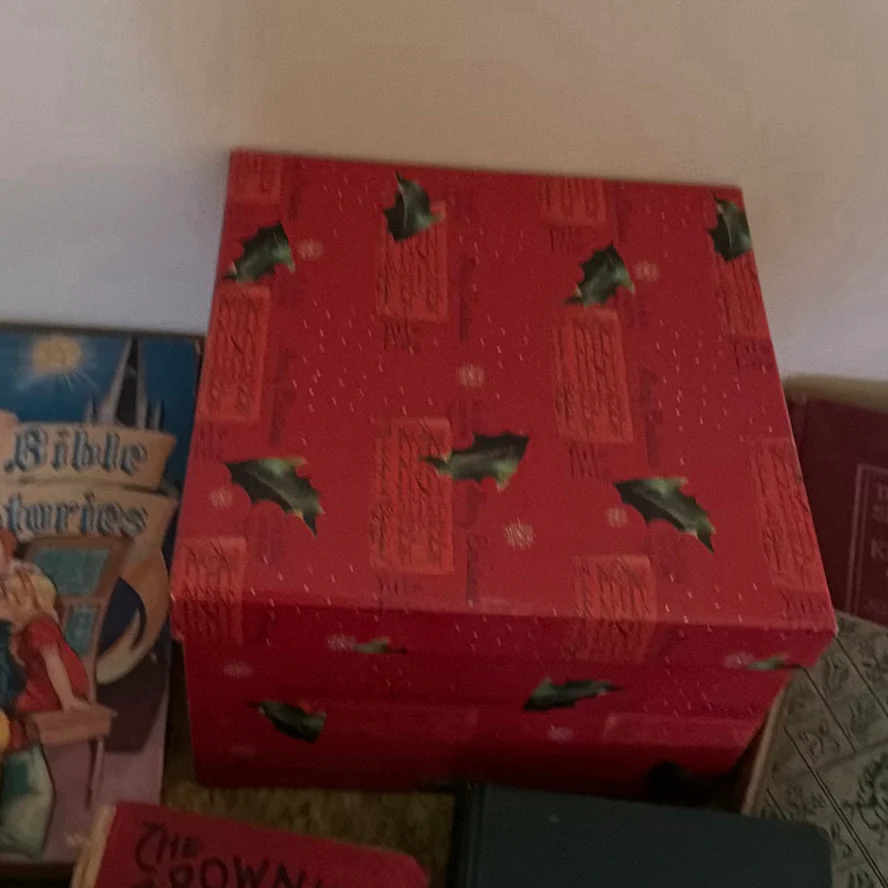 Vintage and Antique Books with Decorative Storage Box - image 7 of 8