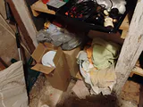 Cleaning Supplies, Pest Control Products, and Household Tools - thumbnail 10 of 10