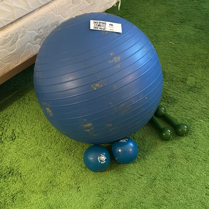 Exercise Ball with Hand Weights - image 2 of 7