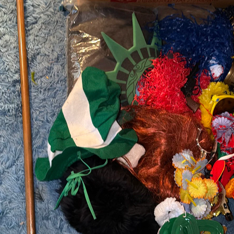 Costume Accessories and Clothing Lot - image 4 of 9