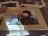 Art Prints by Charles Dickinson - thumbnail 7 of 20