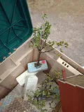 Model Railroad Building Structures and Scenery Pieces - thumbnail 9 of 13