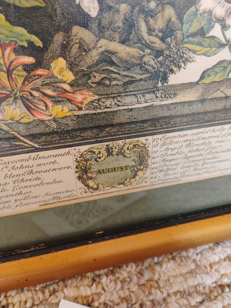 Two Framed Botanical and Bird Prints - image 5 of 7