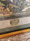 Two Framed Botanical and Bird Prints - thumbnail 5 of 7