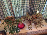 Collection of Potted Houseplants - thumbnail 1 of 7