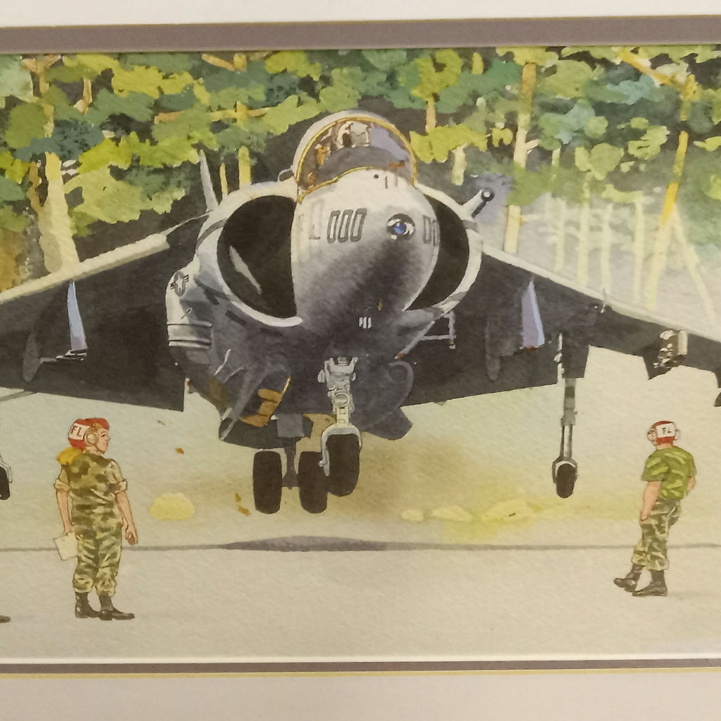 AV-8B Harrier HVTOL - George Guzzi - image 1 of 6