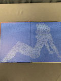 Miscellaneous Airplane Memorabilia - thumbnail 10 of 20