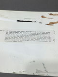 WWII - 1st Air Commando Group / 23rd Fighter Group - thumbnail 8 of 11