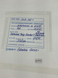 Unframed Airplane Illustrations - George Guzzi - thumbnail 17 of 25