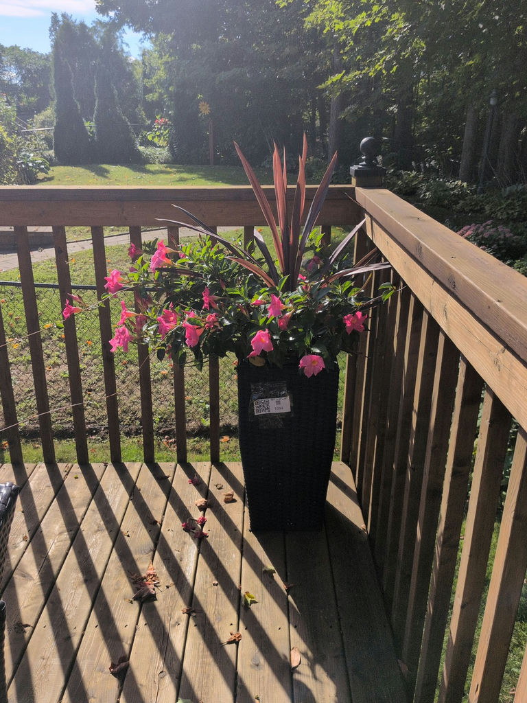 Tall Black Wicker Planter with Flower Arrangement - image 1 of 4