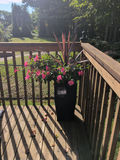 Tall Black Wicker Planter with Flower Arrangement - thumbnail 1 of 4