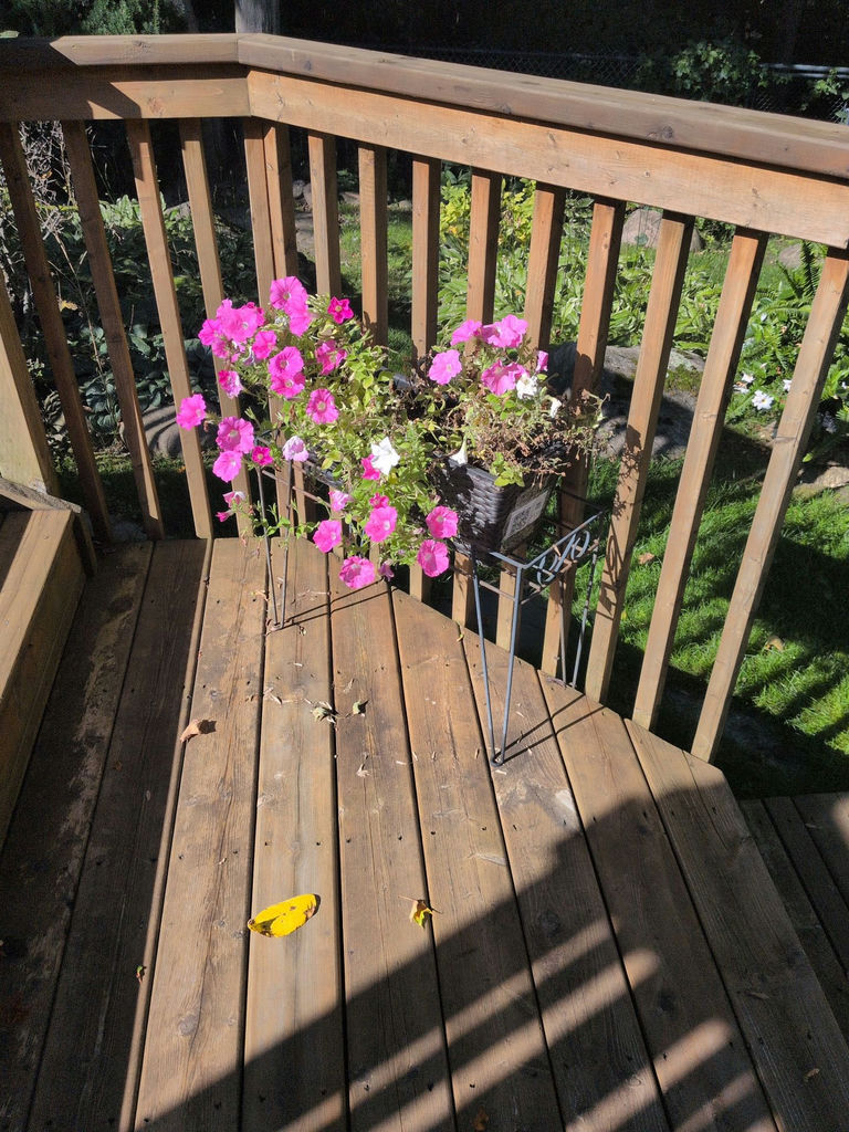 Metal Plant Stand with Wicker Planter and Flowers - image 1 of 4