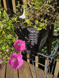 Metal Plant Stand with Wicker Planter and Flowers - thumbnail 3 of 4