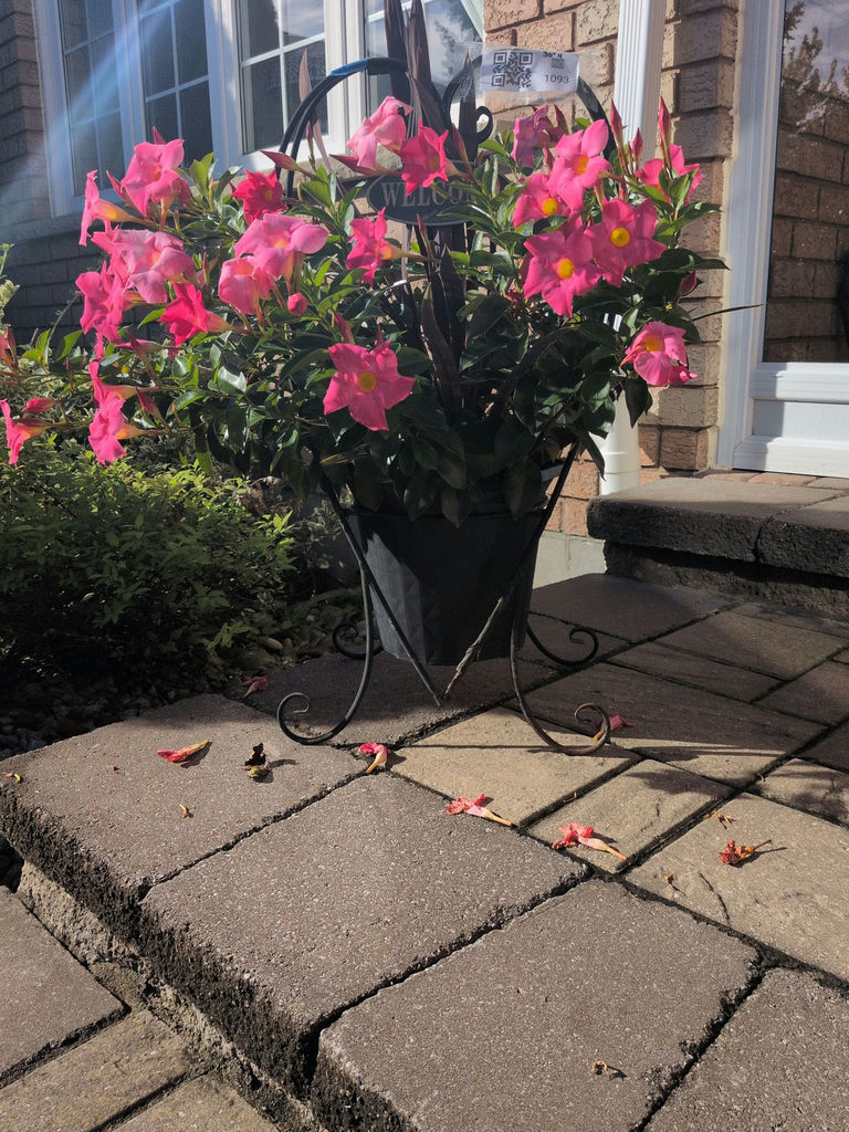Potted Pink Flower Arrangement with Metal Stand and Welcome Sign - image 2 of 5