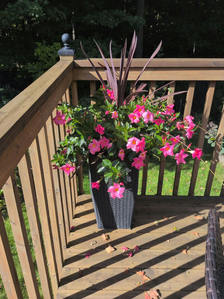 Tall Black Wicker Planter with Flower Arrangement - image 3 of 4