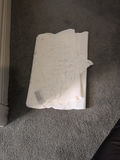 White Table Linens and Decorative Placemats - thumbnail 3 of 8