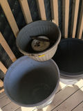 Plastic Planters - thumbnail 5 of 6