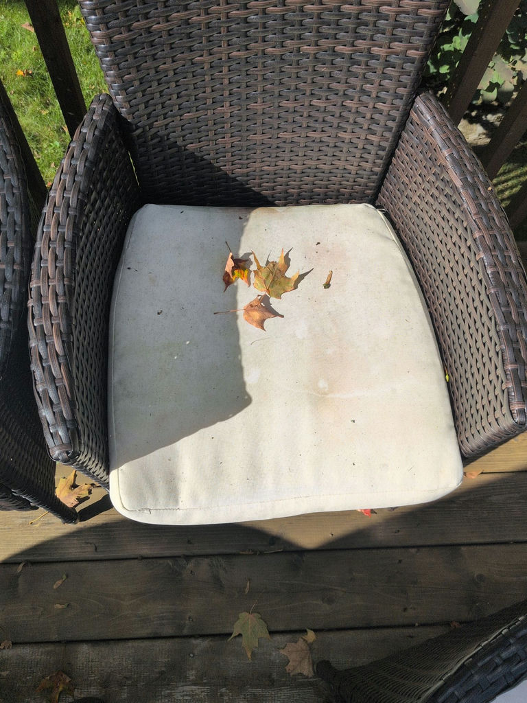 Set of Four Wicker Patio Chairs with Cushions - image 4 of 6