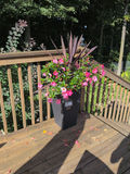 Black Wicker Planter with Pink Flower Arrangement - thumbnail 1 of 4