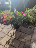 Potted Pink Flower Arrangement with Metal Stand and Welcome Sign - thumbnail 4 of 5