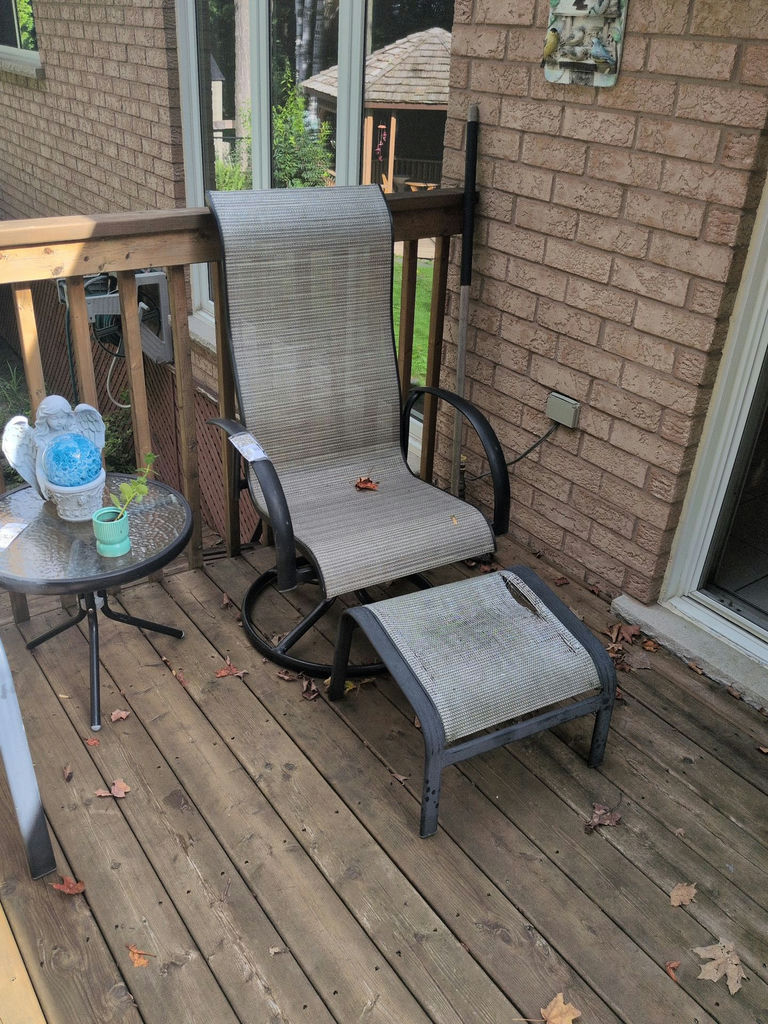 Outdoor Patio Swivel Chair and Ottoman - image 1 of 7