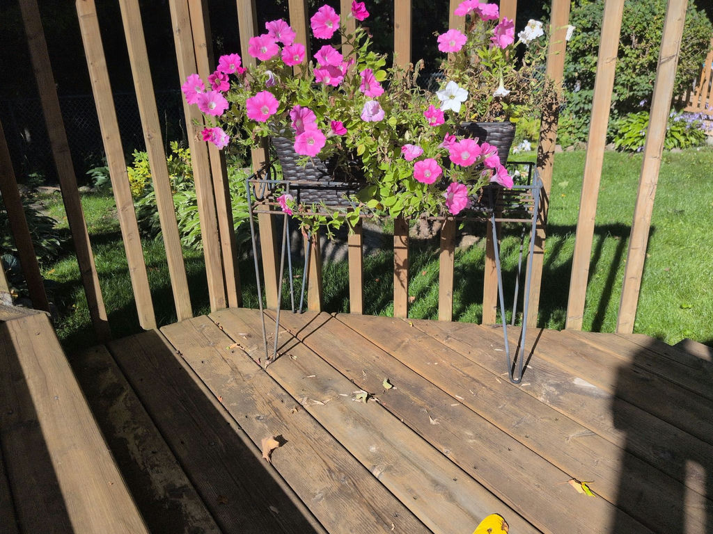 Metal Plant Stand with Wicker Planter and Flowers - image 2 of 4