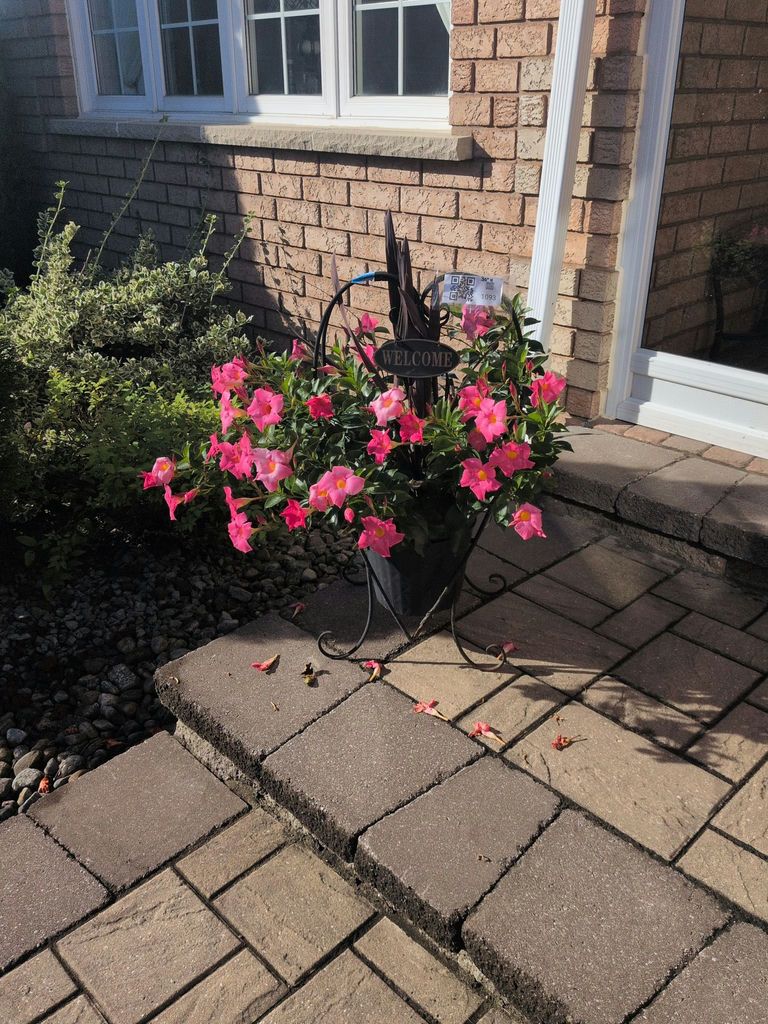 Potted Pink Flower Arrangement with Metal Stand and Welcome Sign - image 1 of 5