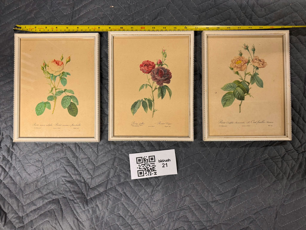 Three framed vintage rose botanical prints - image 1 of 1
