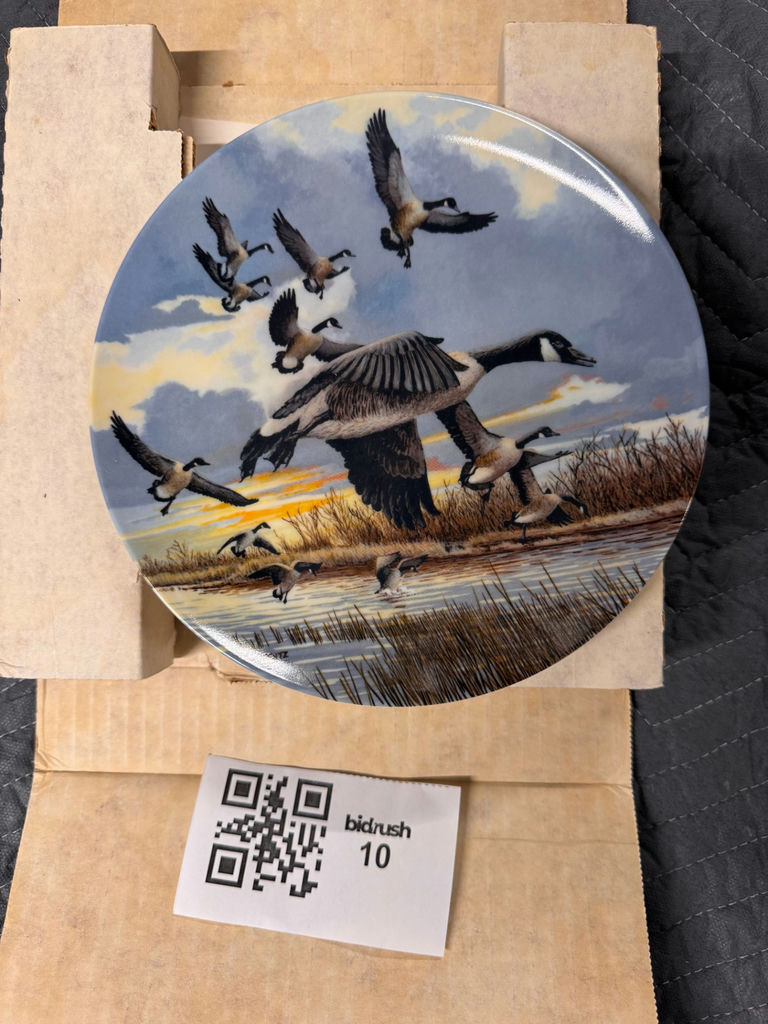 Collection of Decorative Collector Plates - image 7 of 8