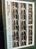 Framed Ted Williams Baseball Magazine Page - thumbnail 1 of 3