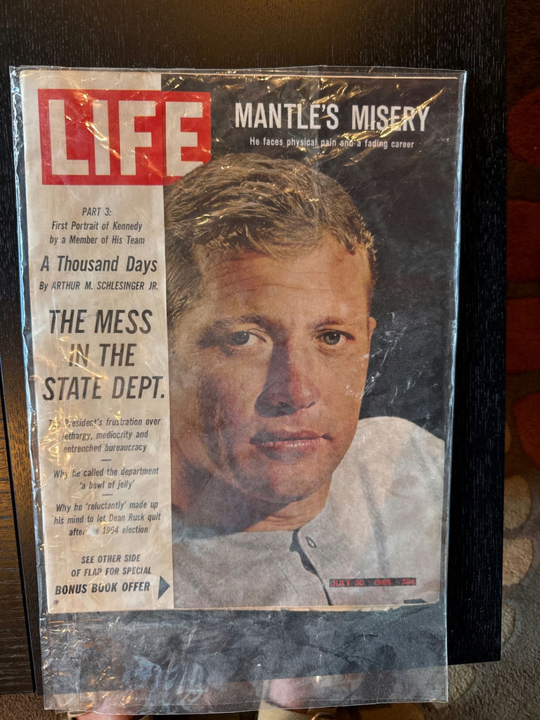 Life Magazine July 30, 1965 Issue - image 1 of 2