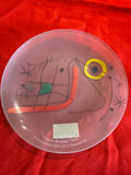 Joan Miró Glass Decorative Plate - thumbnail 1 of 2